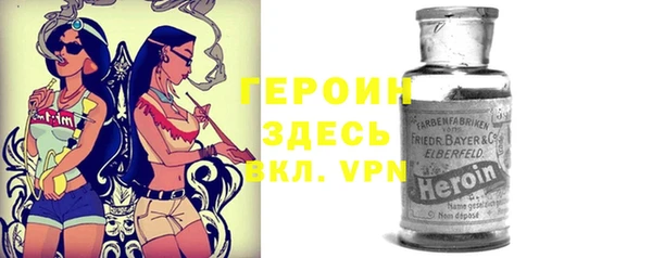 PSILOCYBIN Алзамай
