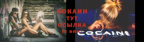 прущие грибы Алексин