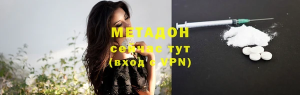 прущие грибы Алексин