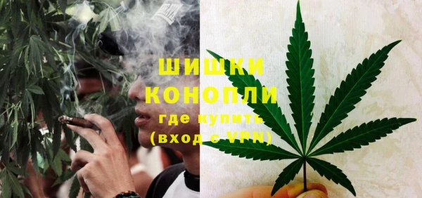 PSILOCYBIN Алзамай